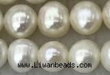 FWP81 15 inches 7mm - 8mm potato white freshwater pearl strands