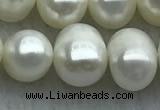 FWP85 15 inches 8mm - 9mm potato white freshwater pearl strands