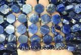 HABS02 15 inches 12mm - 14mm hexagon sodalite gemstone beads