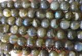 LBBS03 15 inches 10mm round natural labradorite beads wholesale