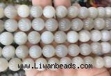 MSBS03 15 inches 10mm round moonstone gemstone beads wholesale