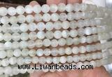 MSBS10 15 inches 6mm round moonstone gemstone beads wholesale