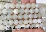 MSBS12 15 inches 10mm round moonstone gemstone beads wholesale