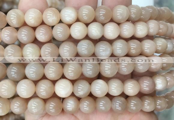 MSBS18 15 inches 10mm round moonstone gemstone beads wholesale