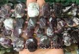 NGBS76 15 inches 13*18mm - 15*20mm faceted freeform Plum blossom tourmaline beads