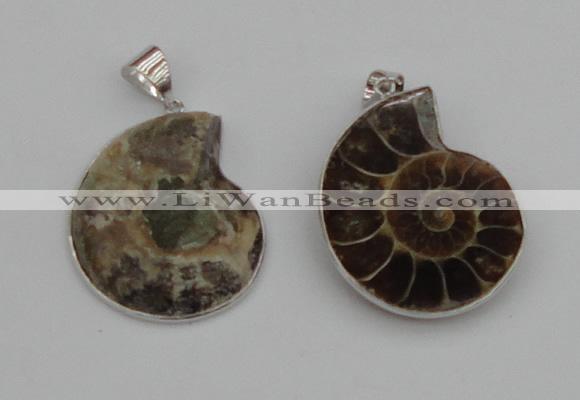 NGP4068 25*30mm – 30*35mm carved ammonite pendants wholesale