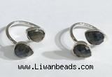 NGR1091 8*10mm faceted flat droplet labradorite rings wholesale