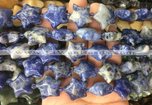 RGBS42 15 inches 20mm star sodalite gemstone beads wholesale