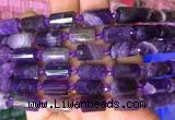 TBBS76 15 inches 8*12mm faceted tube dogtooth amethyst gemstone beads