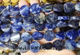 TWBS71 15 inches 16mm twist coin sodalite beads wholesale